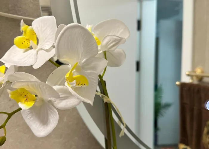 Heaven Infinity Pool & Navodari